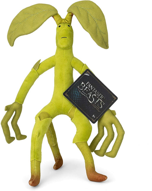 https://m.media-amazon.com/images/I/71pwMsloT3L.jpg