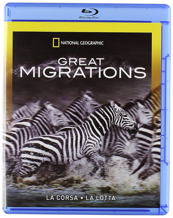 https://m.media-amazon.com/images/I/71q4IxZuRRL.jpg