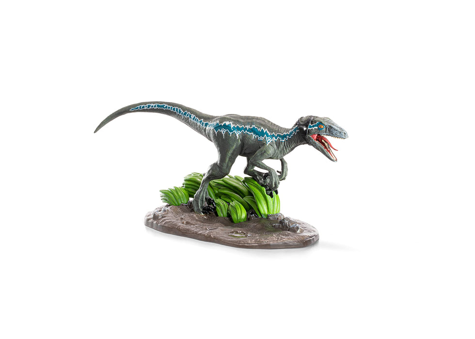 https://m.media-amazon.com/images/I/71qTRH+CGnL.jpg