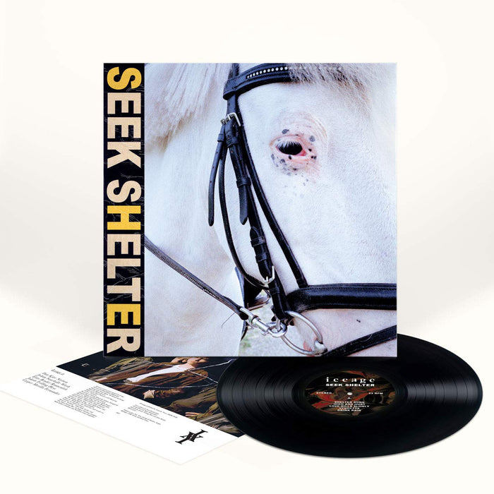 Iceage - Seek Shelter;