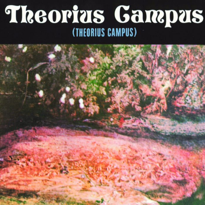 Theorius Campus - Theorius Campus;