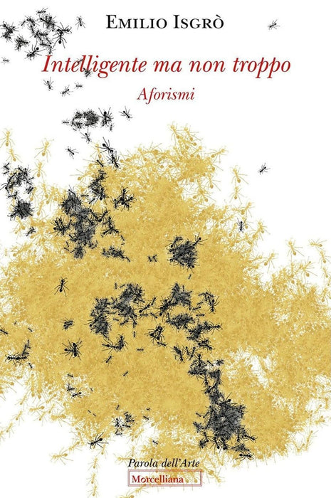 https://m.media-amazon.com/images/I/71r92EE6wrL.jpg