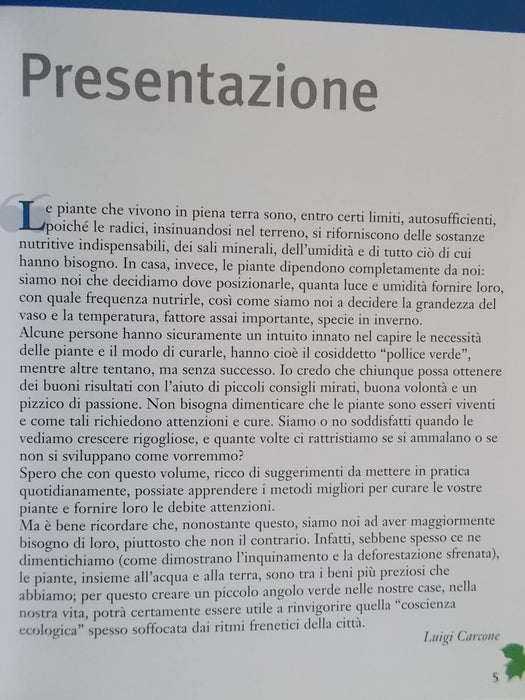 https://m.media-amazon.com/images/I/71rkJHUPZtL.jpg