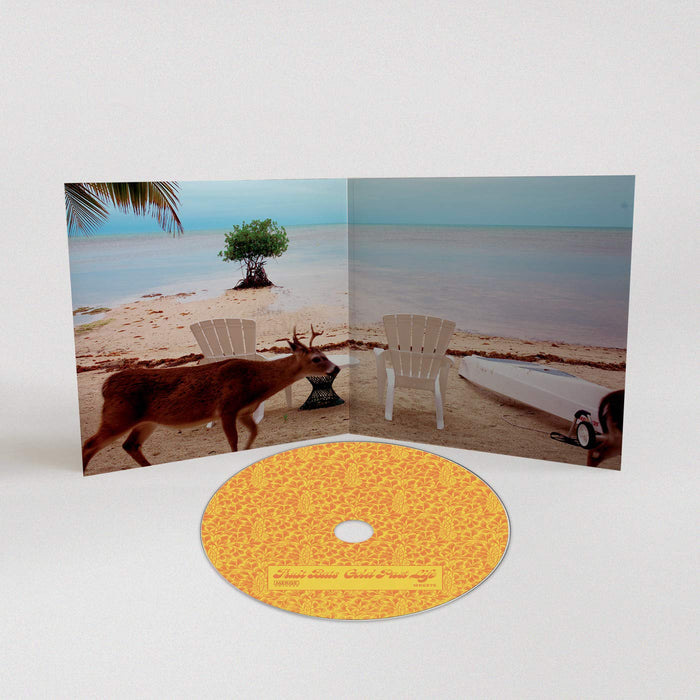 Fruit Bats - Gold Past Life;