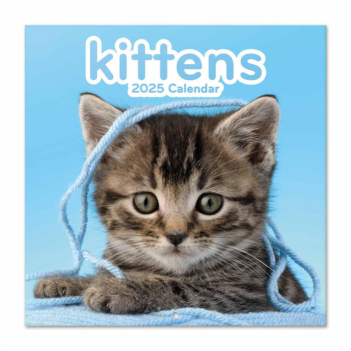 https://m.media-amazon.com/images/I/71s7N9netTL.jpg