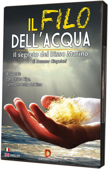 https://m.media-amazon.com/images/I/71sqm2+K0vL.jpg