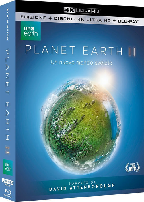 https://m.media-amazon.com/images/I/71tLP3FLmGL.jpg