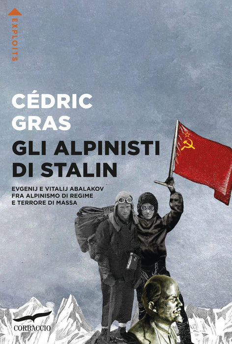 https://m.media-amazon.com/images/I/71tW9p9nc0L.jpg
