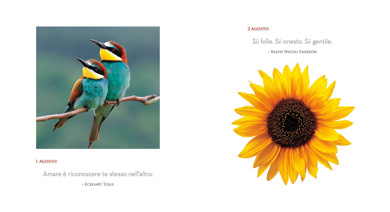 https://m.media-amazon.com/images/I/71uBKlQk4qL.jpg
