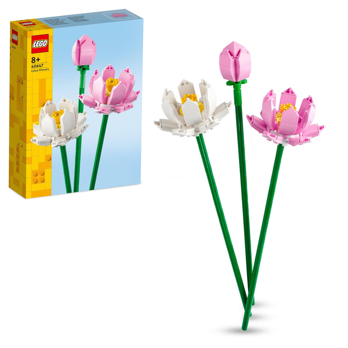 https://m.media-amazon.com/images/I/71uPO+dsTjL.jpg