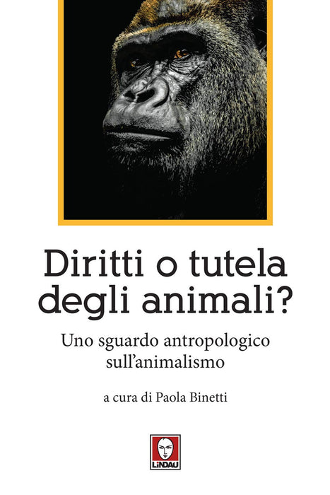https://m.media-amazon.com/images/I/71ufGt3KvzL.jpg