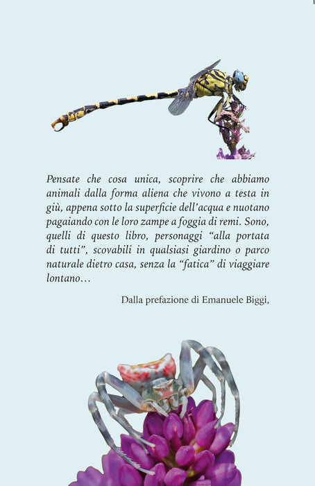 https://m.media-amazon.com/images/I/71vQACk+NpL.jpg