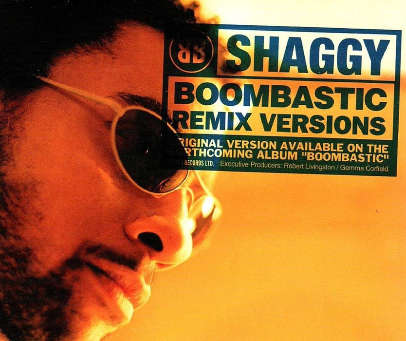 Shaggy - Boombastic;