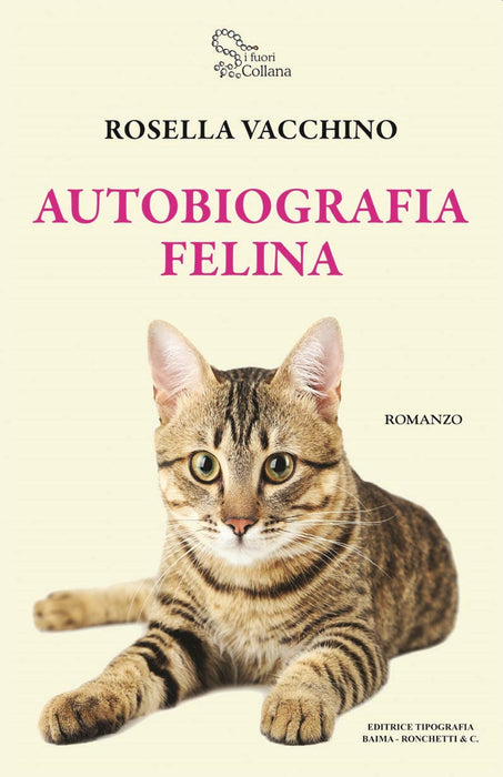 https://m.media-amazon.com/images/I/71vhsoeLvYL.jpg