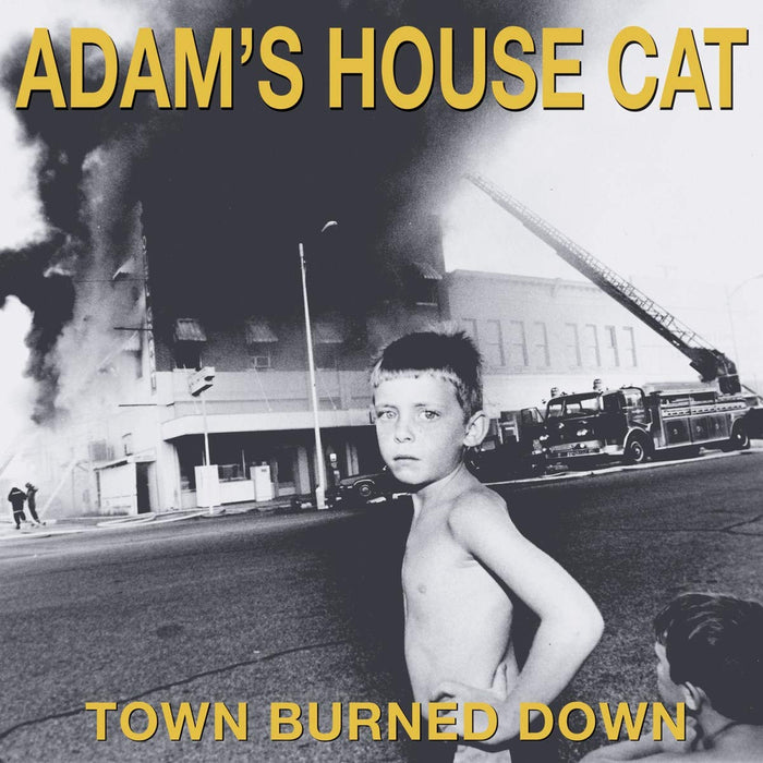 https://m.media-amazon.com/images/I/71wVU7DbItL.jpg