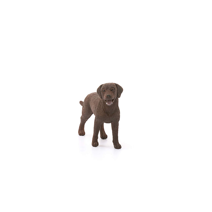 https://m.media-amazon.com/images/I/71wqYPL4+WL.jpg
