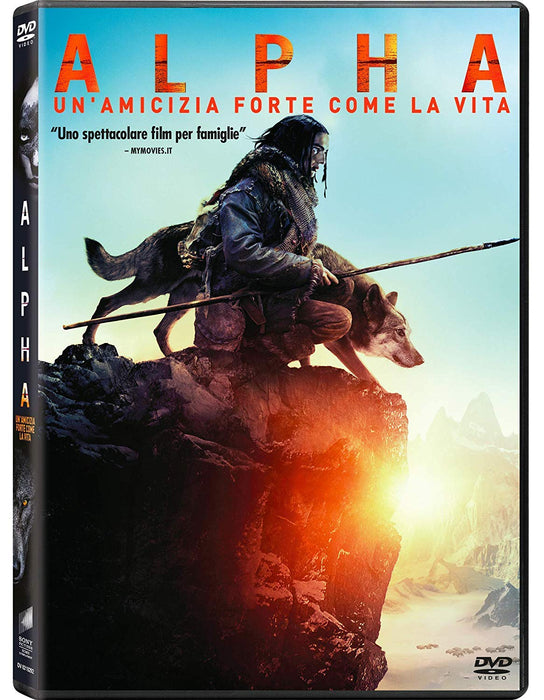 https://m.media-amazon.com/images/I/71yjnexvLRL.jpg
