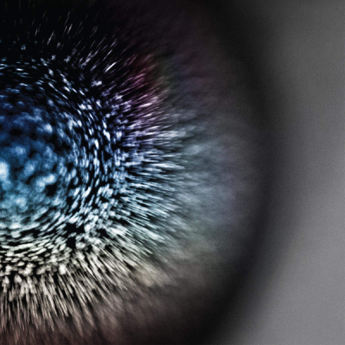 Emptyset - Blossoms;