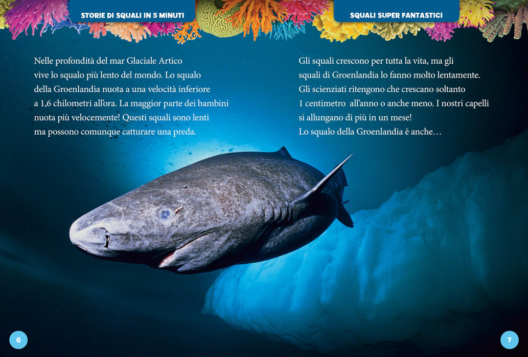 https://m.media-amazon.com/images/I/81-zKbESESL.jpg