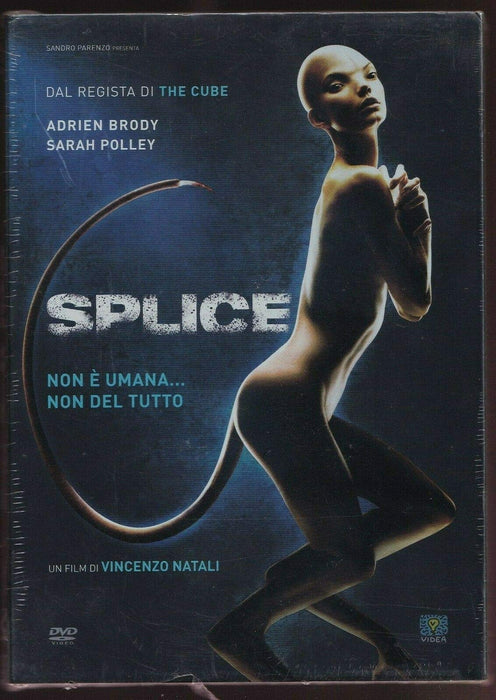 https://m.media-amazon.com/images/I/8103gMEEp+L.jpg