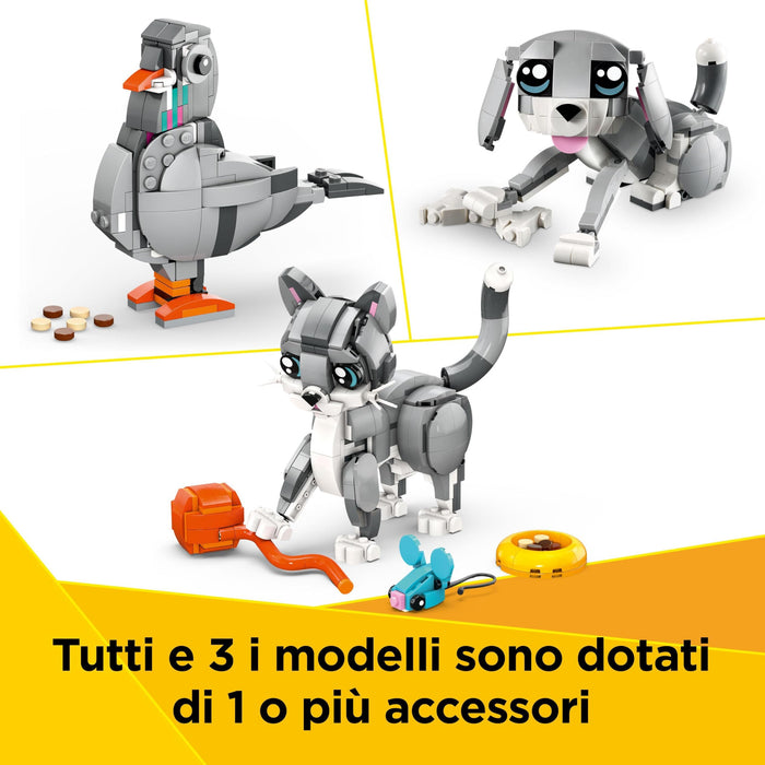 https://m.media-amazon.com/images/I/810xvT7ooiL.jpg