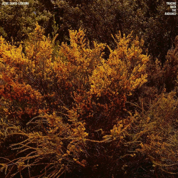 Jefre Cantu-Ledesma - Tracing Back The Radiance;