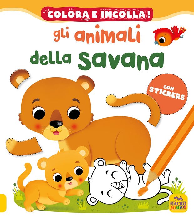 https://m.media-amazon.com/images/I/8149Cee-SXL.jpg