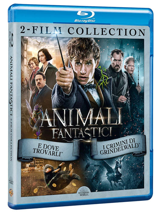 https://m.media-amazon.com/images/I/814UPvpun6L.jpg
