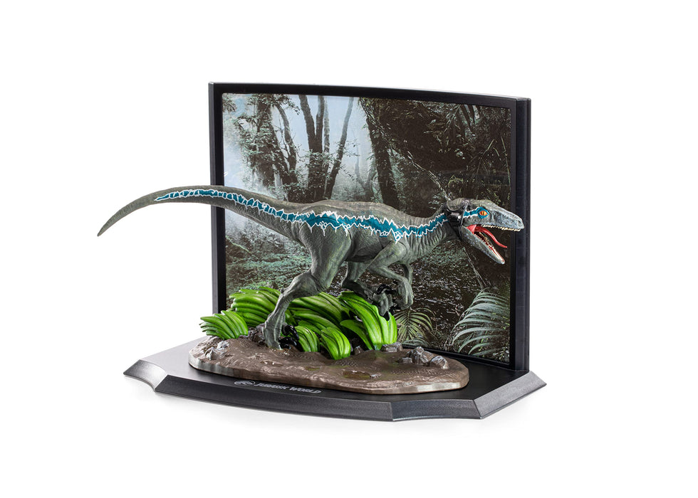 https://m.media-amazon.com/images/I/814irv-dN8L.jpg