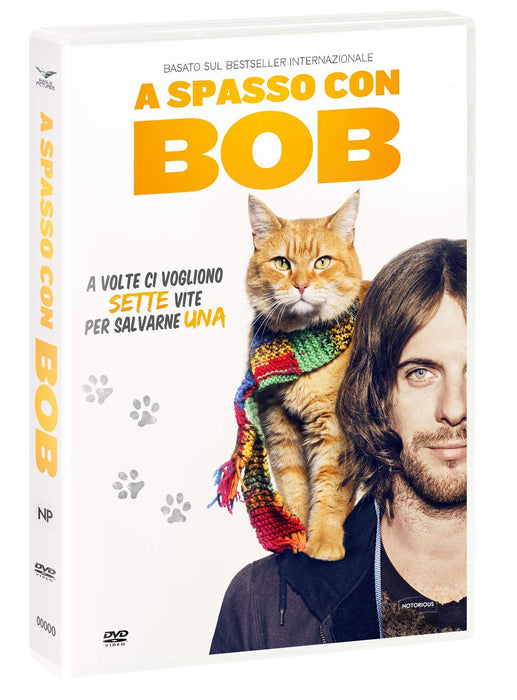 https://m.media-amazon.com/images/I/814jYHwGoWL.jpg