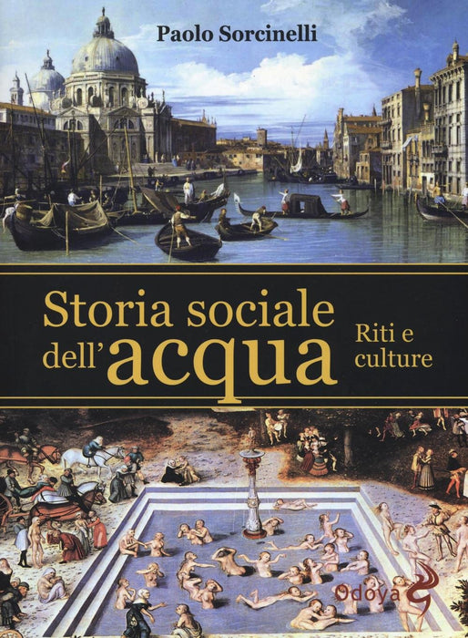 https://m.media-amazon.com/images/I/814qv5DdeIL.jpg