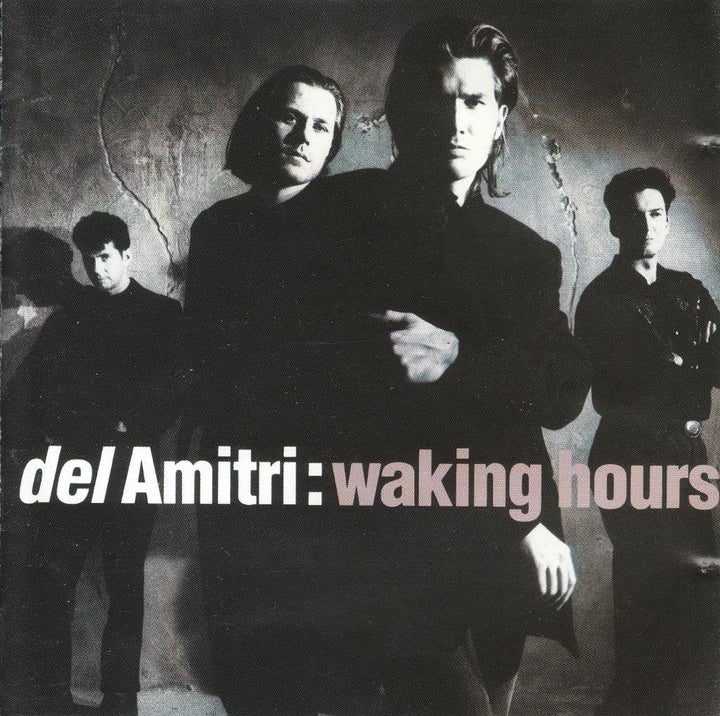 Del Amitri - Waking Hours;