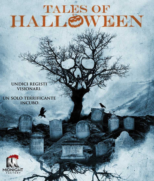 https://m.media-amazon.com/images/I/815IWG8rr0L.jpg