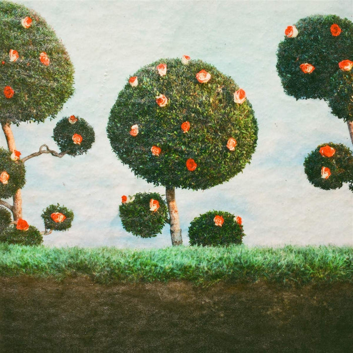 Midnight Sister - Painting The Roses;