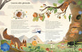 https://m.media-amazon.com/images/I/819m50iuOrL.jpg
