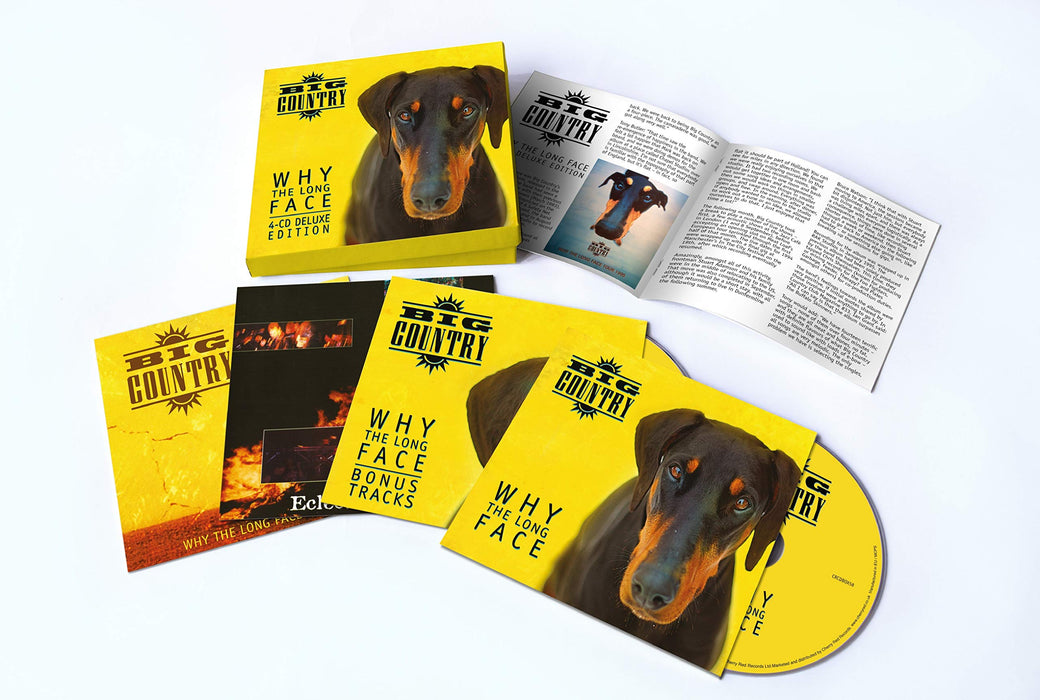 https://m.media-amazon.com/images/I/81AVmPuNu4L.jpg