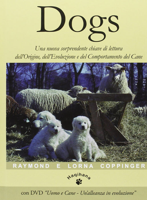 https://m.media-amazon.com/images/I/81B-JzHg4JL.jpg