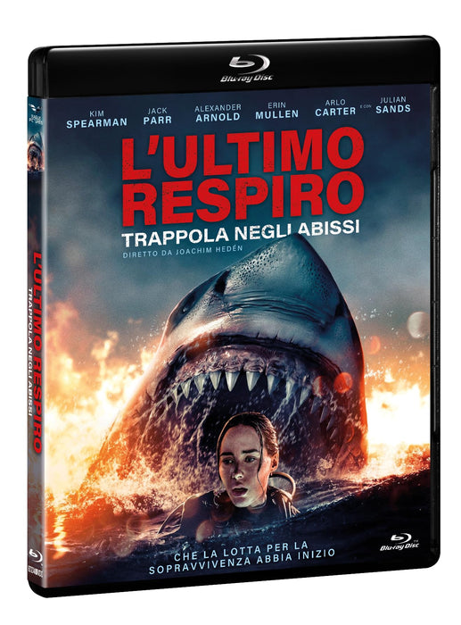 https://m.media-amazon.com/images/I/81BBTo7mU8L.jpg