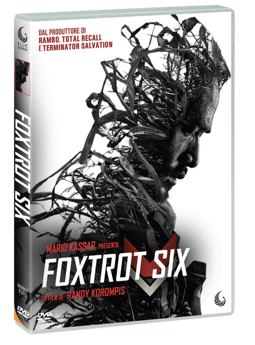 https://m.media-amazon.com/images/I/81BYKd0L4UL.jpg