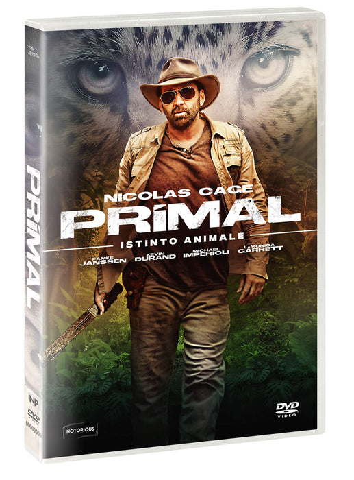 https://m.media-amazon.com/images/I/81BYmNFIKeL.jpg