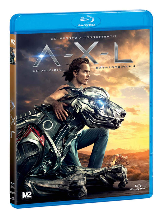 https://m.media-amazon.com/images/I/81Br3xpAhoL.jpg
