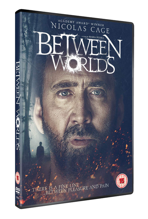 https://m.media-amazon.com/images/I/81CdMEPKqHL.jpg
