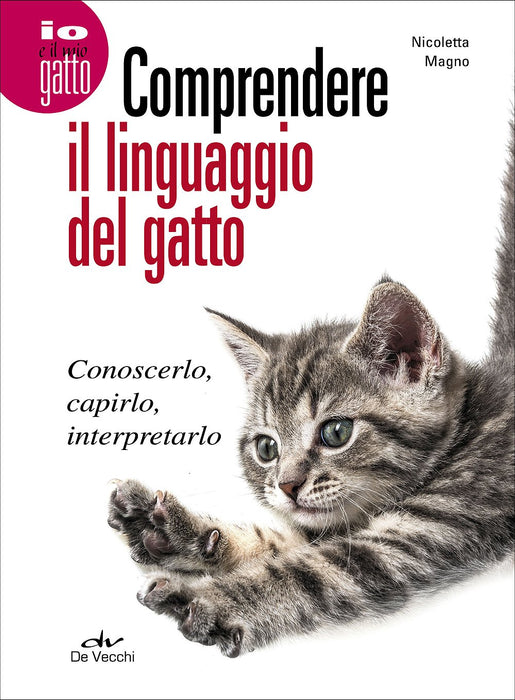 https://m.media-amazon.com/images/I/81CvcJcQoSL.jpg