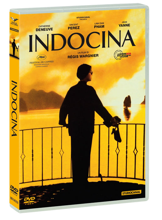 https://m.media-amazon.com/images/I/81DNo00mmRL.jpg