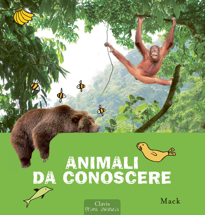 https://m.media-amazon.com/images/I/81DawZ7+8WL.jpg