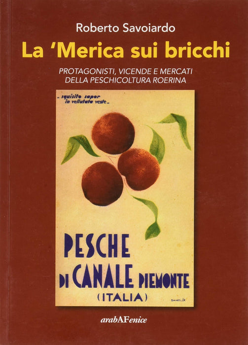 https://m.media-amazon.com/images/I/81DlpEy8lyL.jpg