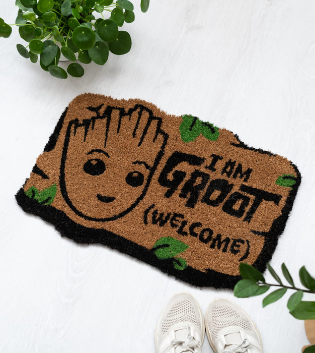 https://m.media-amazon.com/images/I/81DmMdRxJhL.jpg