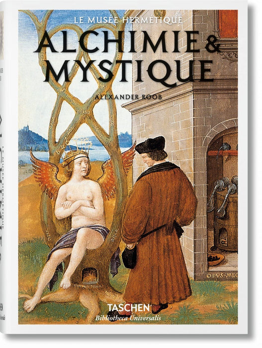 https://m.media-amazon.com/images/I/81DokjfbZ4L.jpg