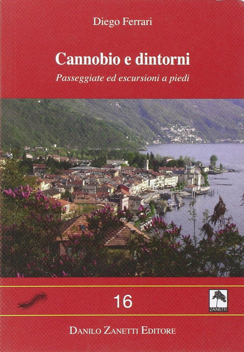 https://m.media-amazon.com/images/I/81DwZB60h4L.jpg