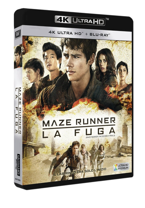 https://m.media-amazon.com/images/I/81EE3q5NhPL.jpg